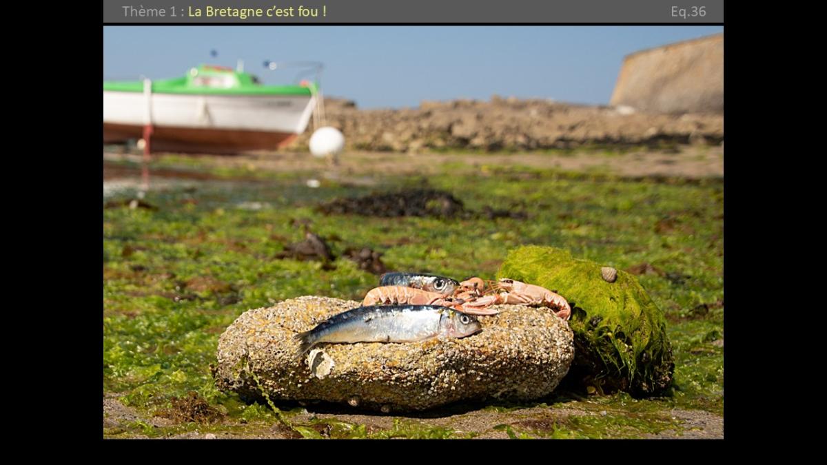 Diapositive-2023-038