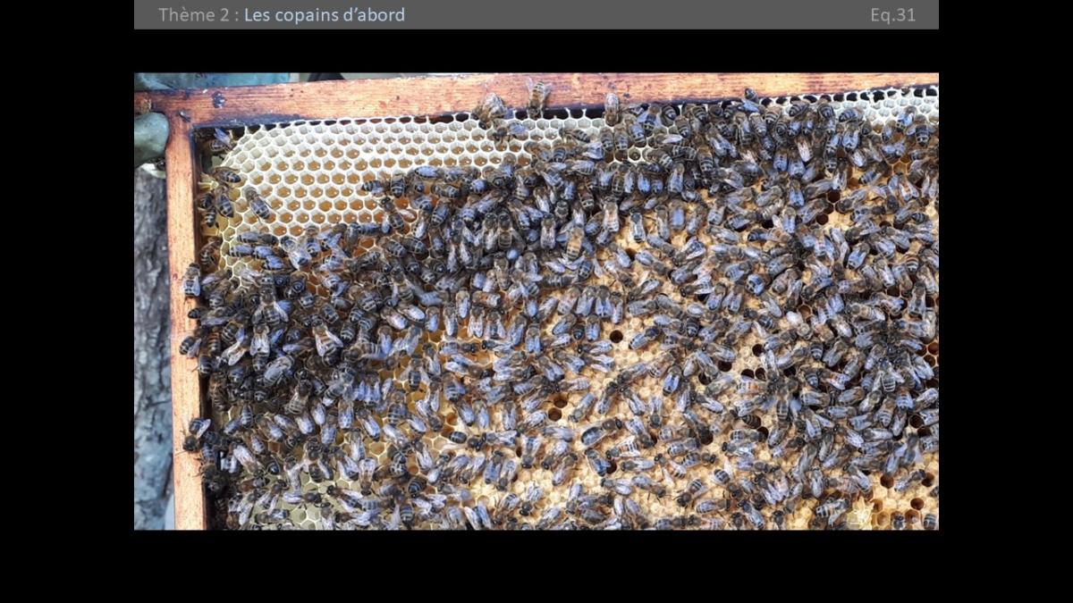 Diapositive-2023-068