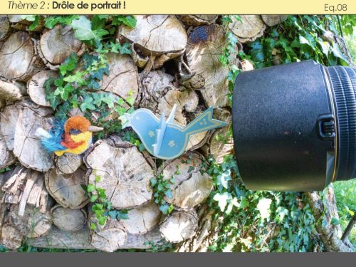 2026-Toutes-les-photos-051