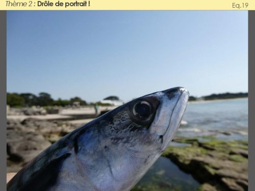 2026-Toutes-les-photos-062