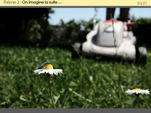 2026-Toutes-les-photos-082