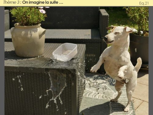 2026-Toutes-les-photos-102