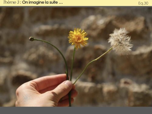 2026-Toutes-les-photos-111