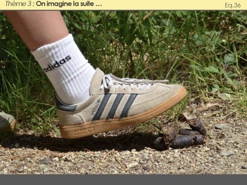 2026-Toutes-les-photos-117