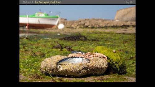 Diapositive-2023-038